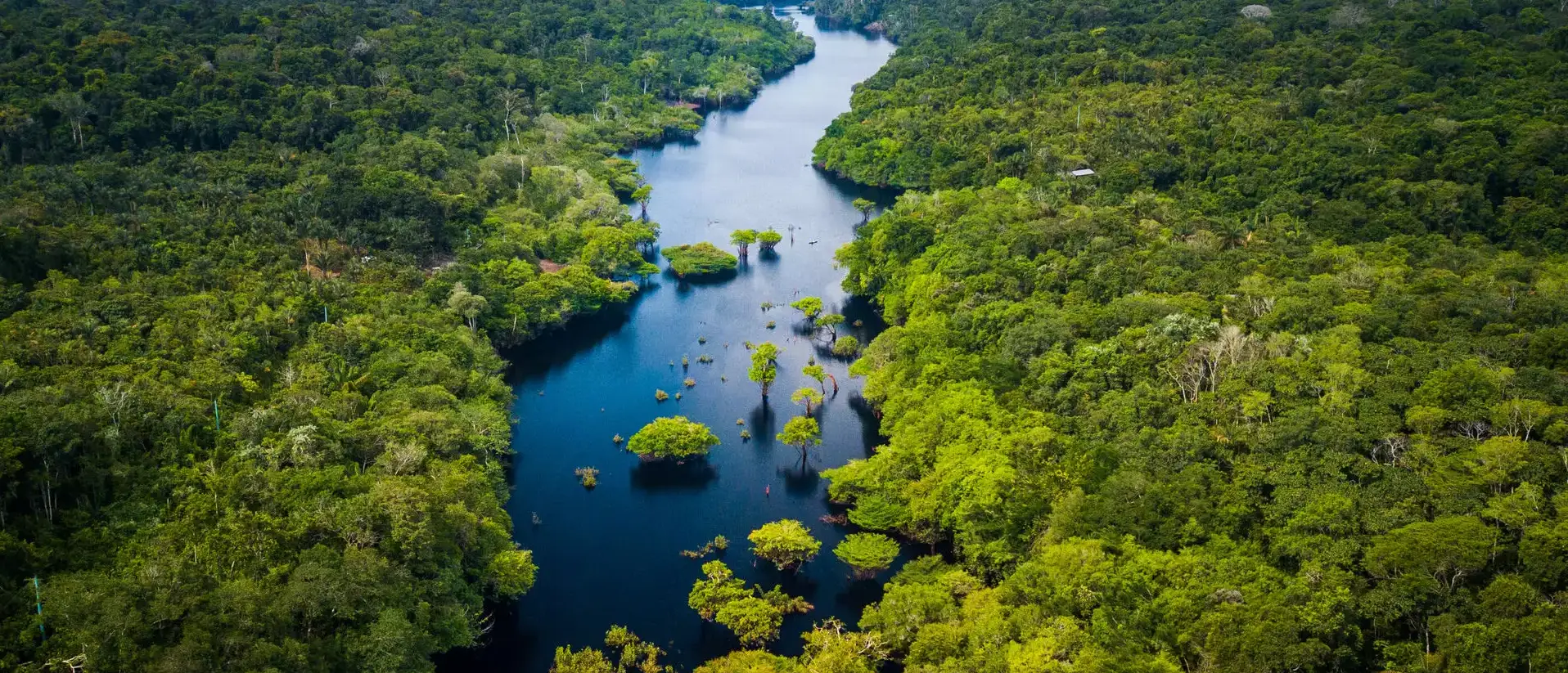 Aerial view of an Amazon river surrounded by preserved rainforest